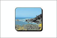 Indian Art International, Promotional, Promotional Mouse pads, Promotional Printed Mouse pads, Promotional Metal Mouse pads, Promotional Custom Mouse pads, Promotional Branded Mouse pads, Promotional Product, Promotional Mouse pads Product, Promotional Printed Mouse pads Product, Promotional Metal Mouse pads Product, Promotional Custom Mouse pads Product, Promotional Branded Mouse pads Product, Promotional Products, Promotional Mouse pads Products, Promotional Printed Mouse pads Products, Promotional Metal Mouse pads Products, Promotional Custom Mouse pads Products, Promotional Branded Mouse pads Products, Promotional Item, Promotional Mouse pads Item, Promotional Printed Mouse pads Item, Promotional Metal Mouse pads Item, Promotional Custom Mouse pads Item, Promotional Branded Mouse pads Item, Promotional Items, Promotional Mouse pads Items, Promotional Printed Mouse pads Items, Promotional Metal Mouse pads Items, Promotional Custom  Mouse pads Items, Promotional Branded Mouse pads Items, Promotional Rubber Backed Mouse pads, Promotional Rubber Backed Mouse pads Item, Promotional Rubber Backed Mouse pads Items, Promotional Rubber Backed Mouse pads Product, Promotional Rubber Backed Mouse pads Products