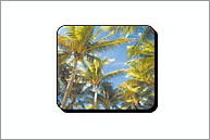 Indian Art International, Promotional, Promotional Mouse pads, Promotional Printed Mouse pads, Promotional Metal Mouse pads, Promotional Custom Mouse pads, Promotional Branded Mouse pads, Promotional Product, Promotional Mouse pads Product, Promotional Printed Mouse pads Product, Promotional Metal Mouse pads Product, Promotional Custom Mouse pads Product, Promotional Branded Mouse pads Product, Promotional Products, Promotional Mouse pads Products, Promotional Printed Mouse pads Products, Promotional Metal Mouse pads Products, Promotional Custom Mouse pads Products, Promotional Branded Mouse pads Products, Promotional Item, Promotional Mouse pads Item, Promotional Printed Mouse pads Item, Promotional Metal Mouse pads Item, Promotional Custom Mouse pads Item, Promotional Branded Mouse pads Item, Promotional Items, Promotional Mouse pads Items, Promotional Printed Mouse pads Items, Promotional Metal Mouse pads Items, Promotional Custom  Mouse pads Items, Promotional Branded Mouse pads Items, Promotional Rubber Backed Mouse pads, Promotional Rubber Backed Mouse pads Item, Promotional Rubber Backed Mouse pads Items, Promotional Rubber Backed Mouse pads Product, Promotional Rubber Backed Mouse pads Products